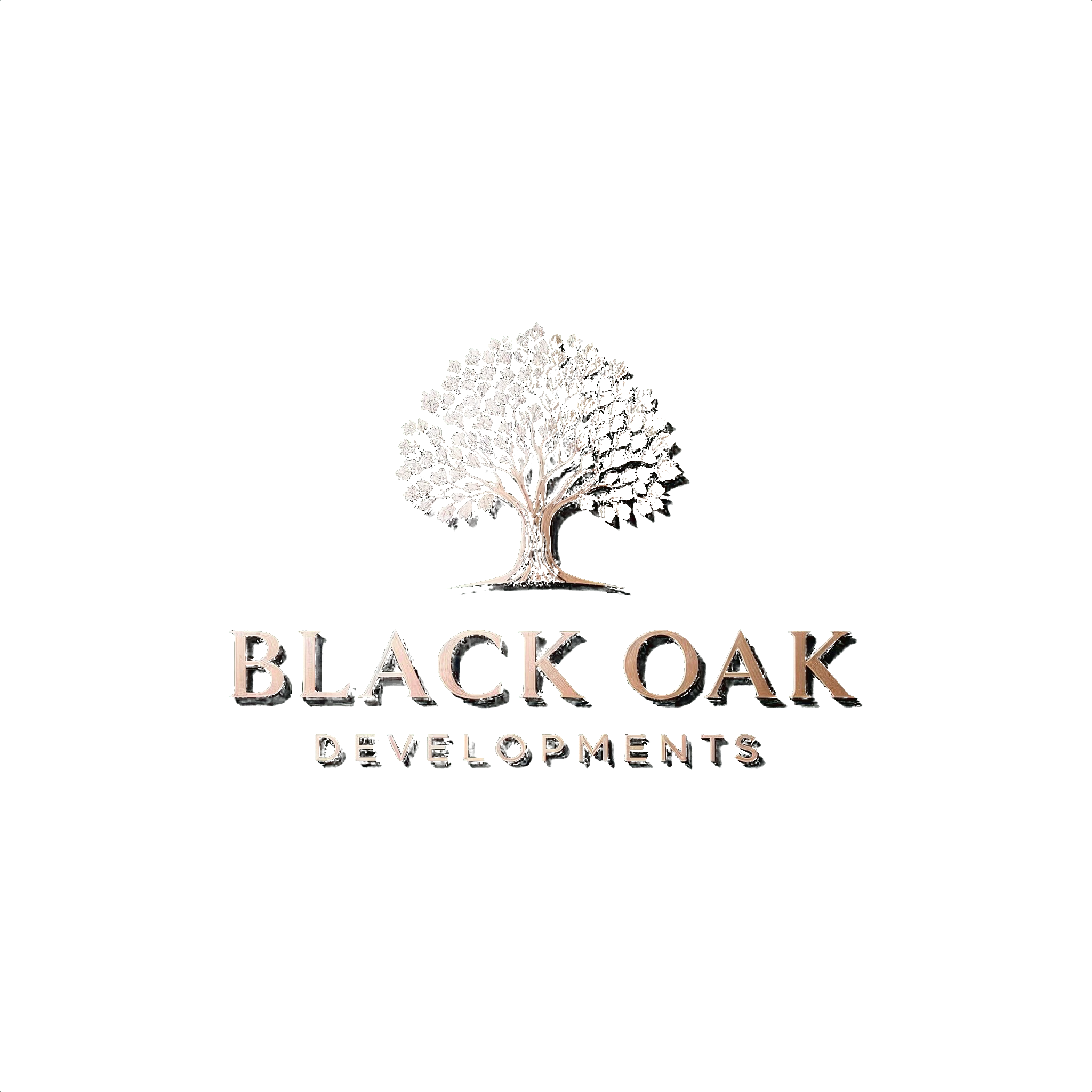 Black Oak Tree Logo